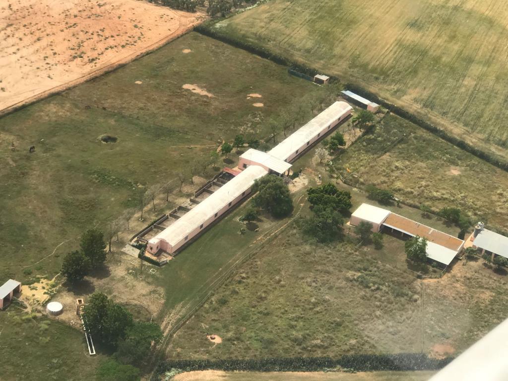 For sale of rural property in Huévar del Aljarafe