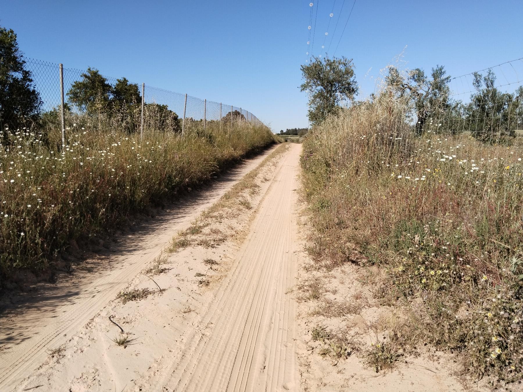 For sale of rural property in Hinojos