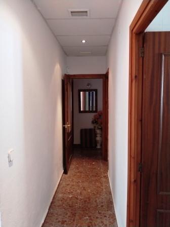 Venta de finca rústica en Mairena del Alcor
