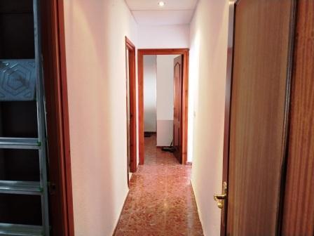 Venta de finca rústica en Mairena del Alcor