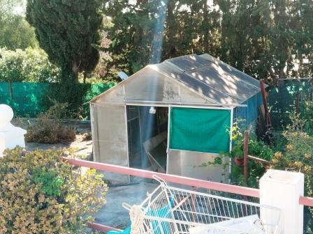 Venta de finca rústica en Mairena del Alcor