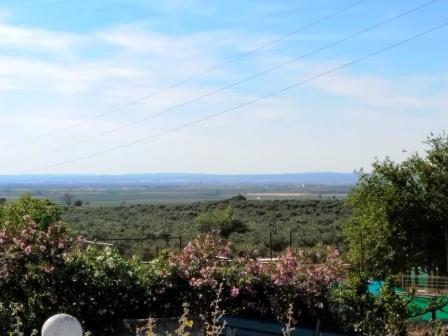 Venta de finca rústica en Mairena del Alcor