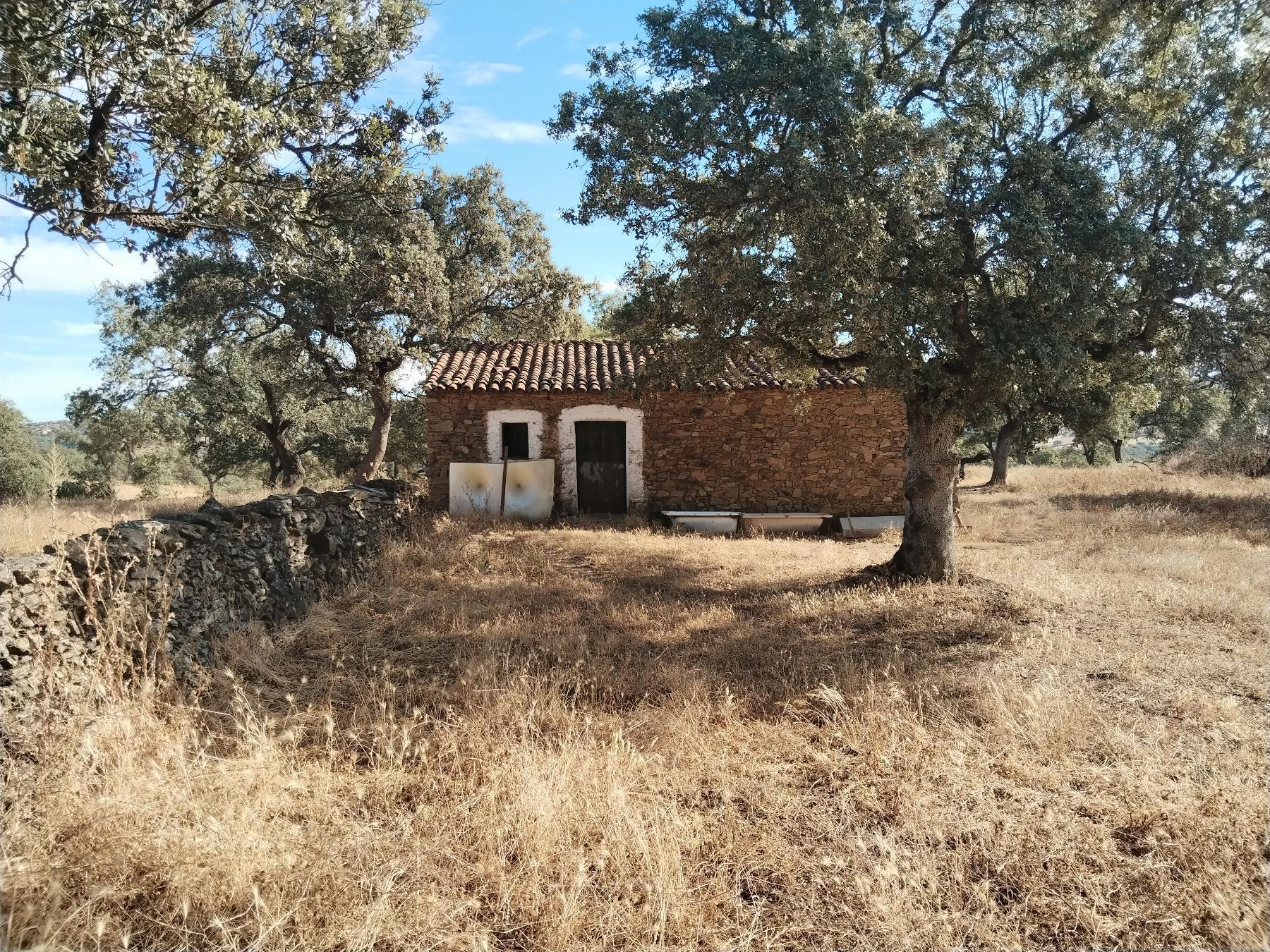 For sale of rural property in Cabeza la Vaca