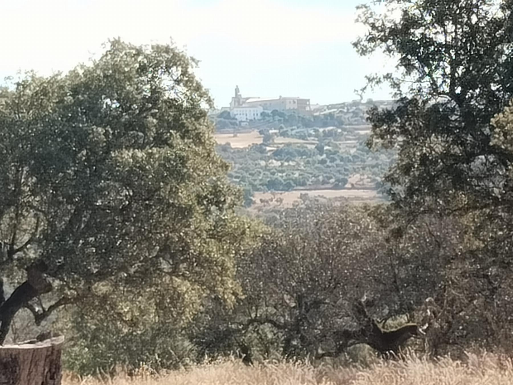 For sale of rural property in Cabeza la Vaca