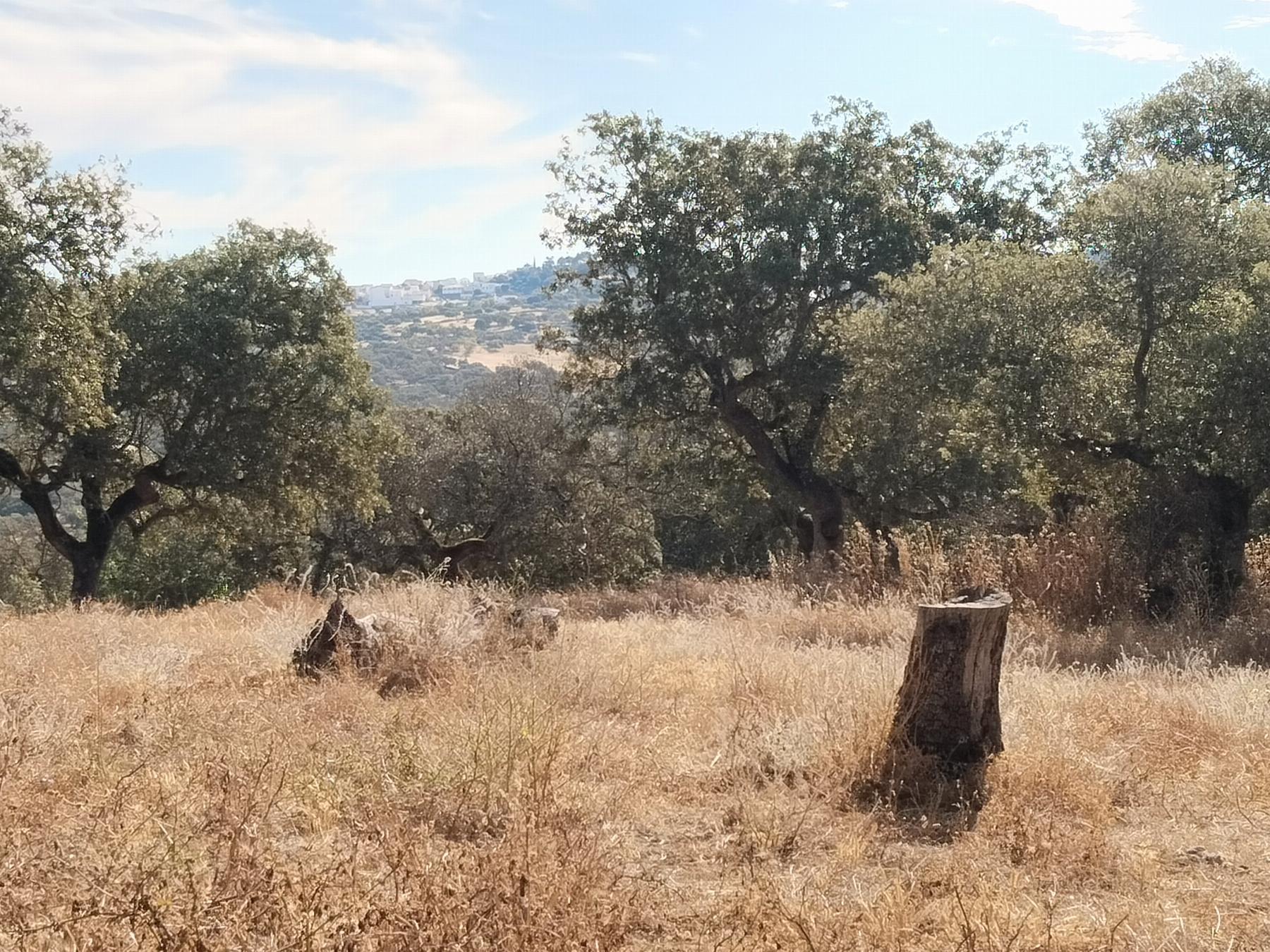 For sale of rural property in Cabeza la Vaca