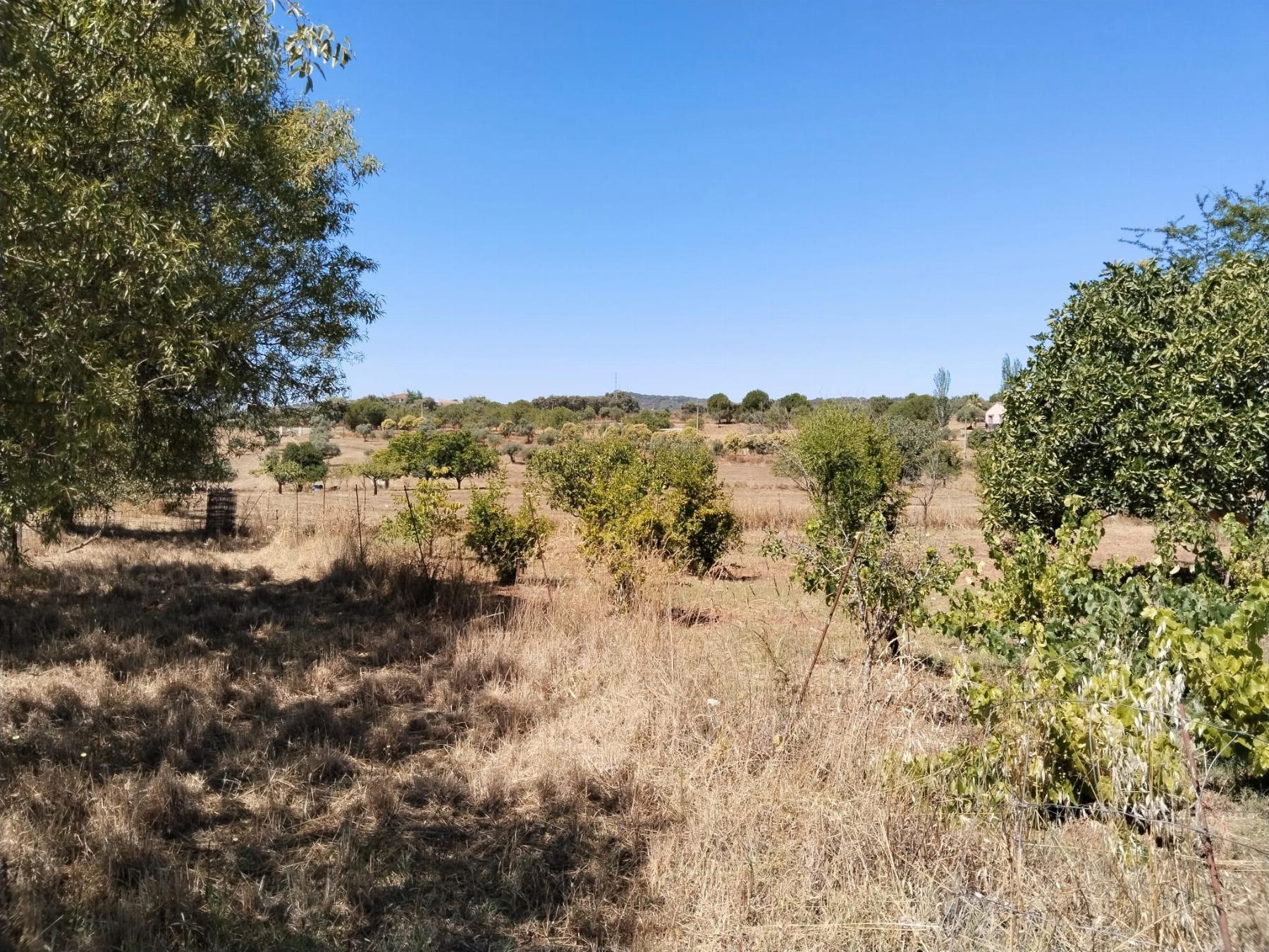 For sale of rural property in Fregenal de la Sierra