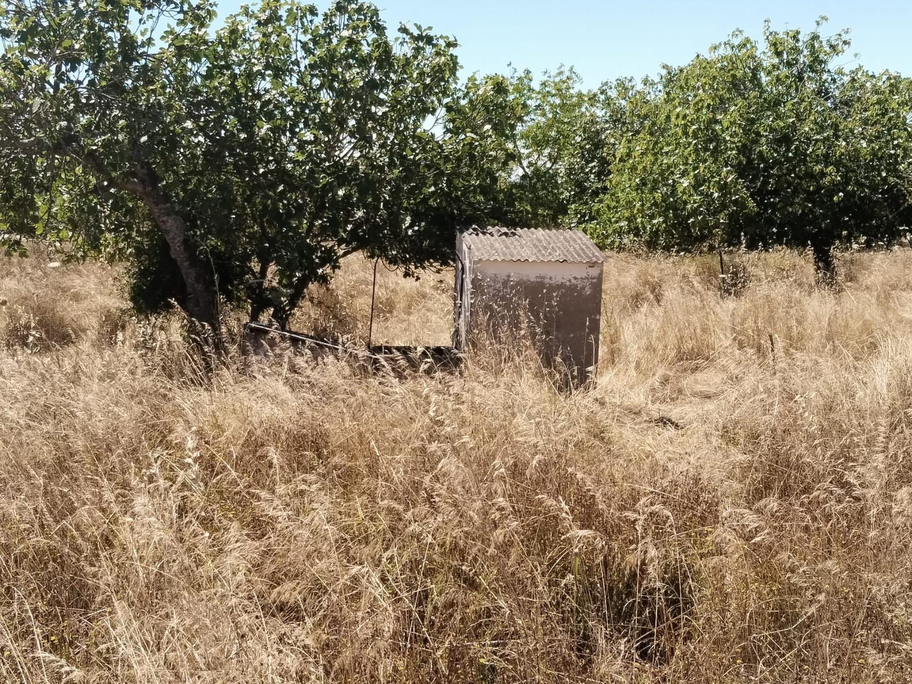 For sale of rural property in Fregenal de la Sierra