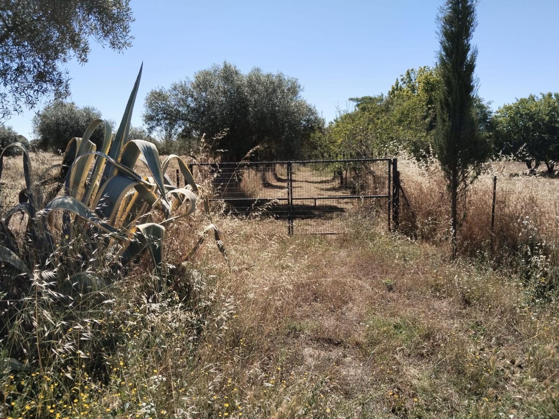 For sale of rural property in Fregenal de la Sierra