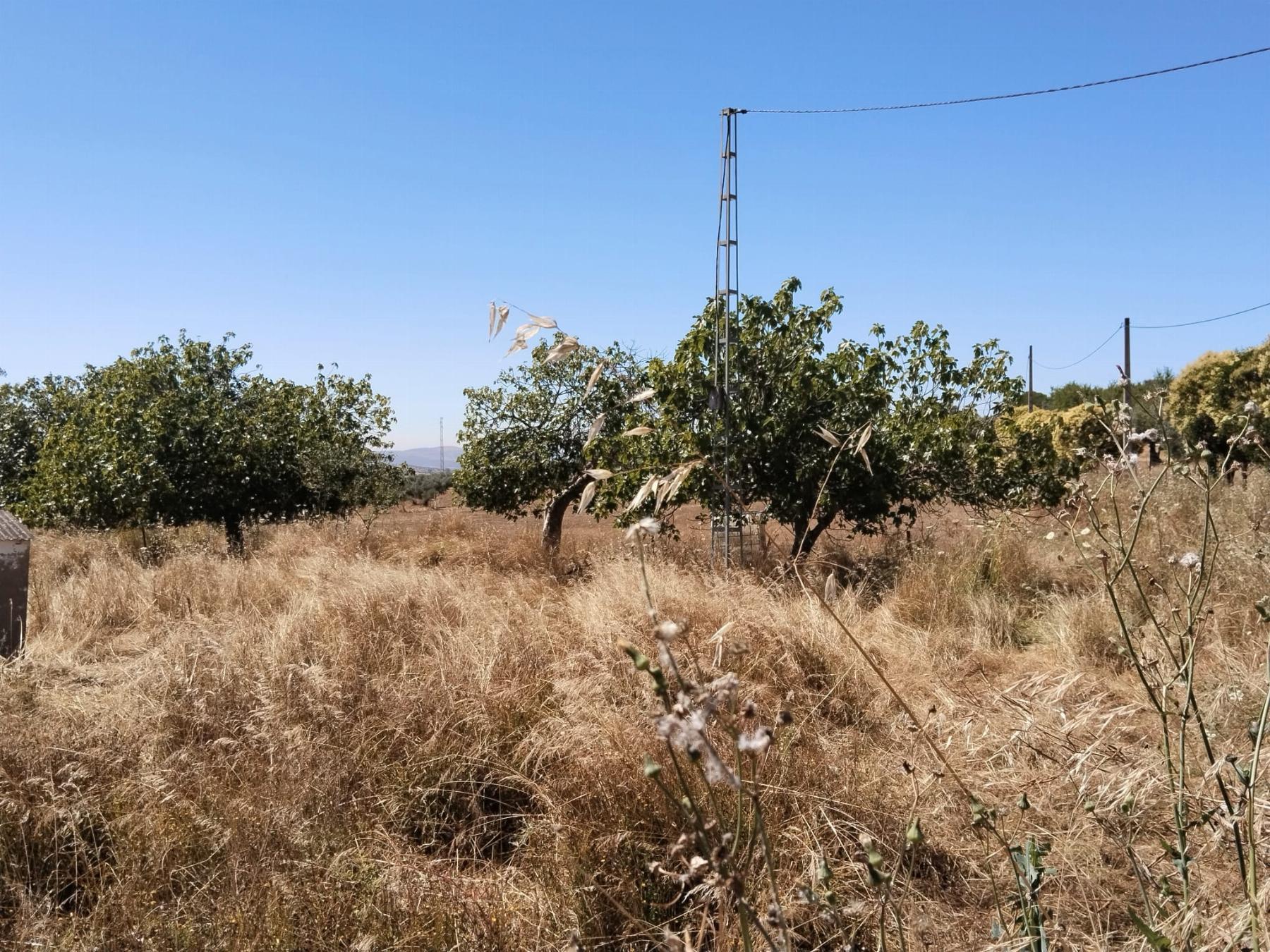 For sale of rural property in Fregenal de la Sierra