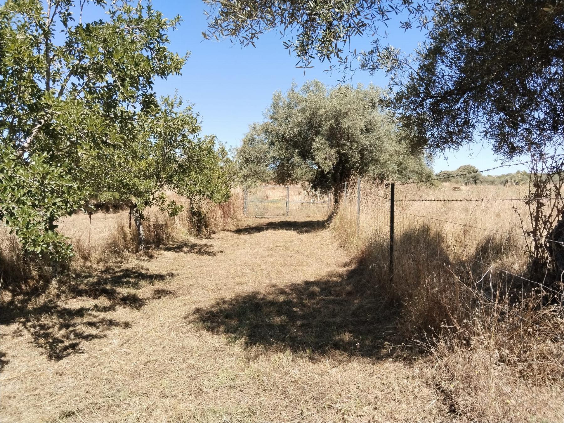 For sale of rural property in Fregenal de la Sierra