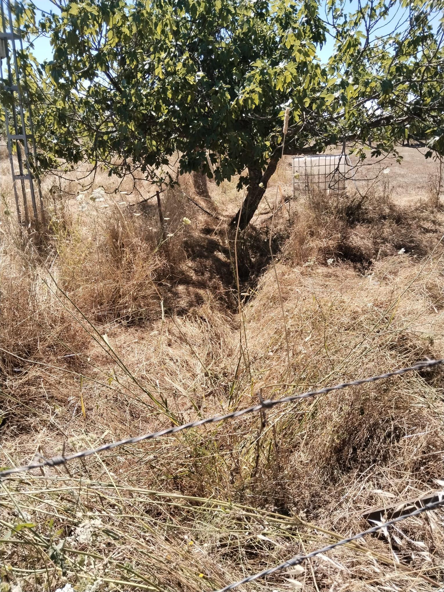 For sale of rural property in Fregenal de la Sierra