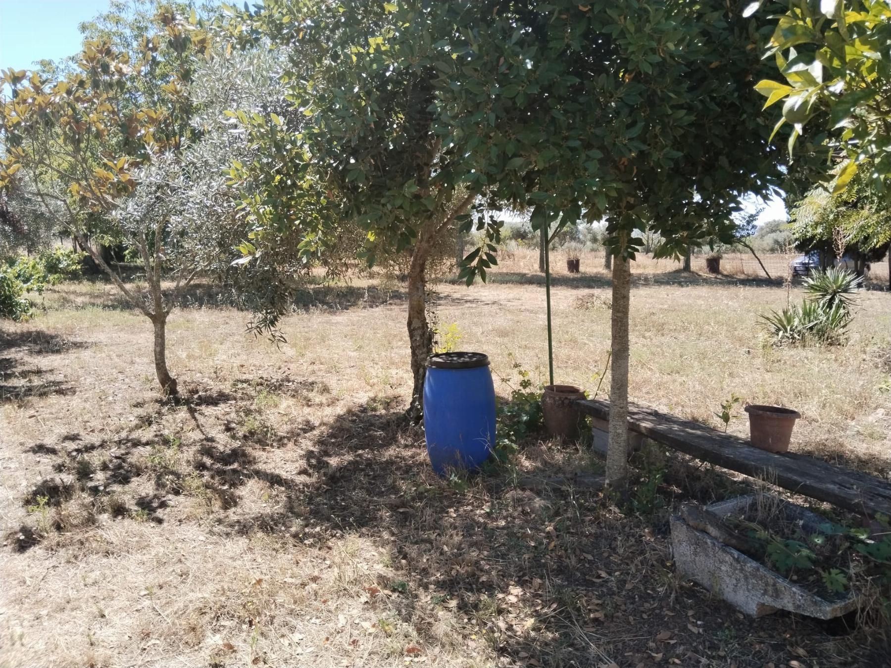 For sale of rural property in Fregenal de la Sierra