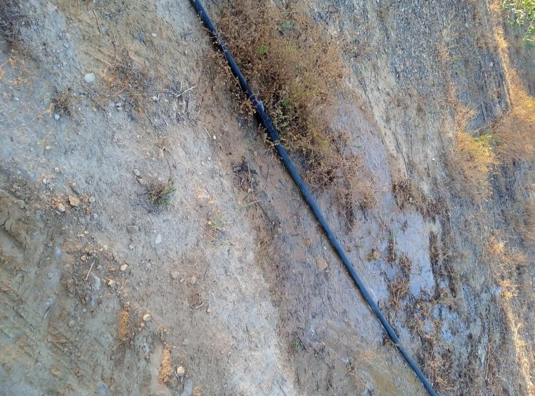 Venta de finca rústica en Morón de la Frontera