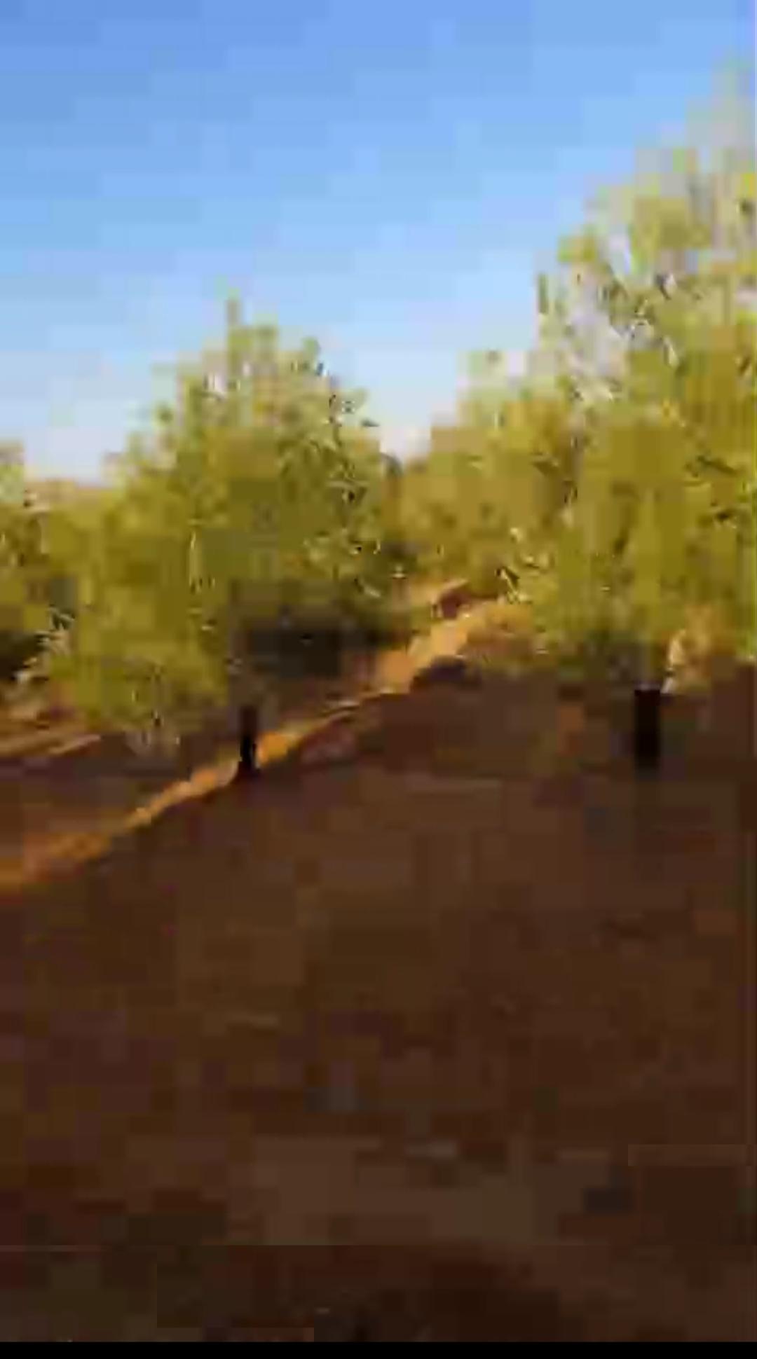 Venta de finca rústica en Morón de la Frontera