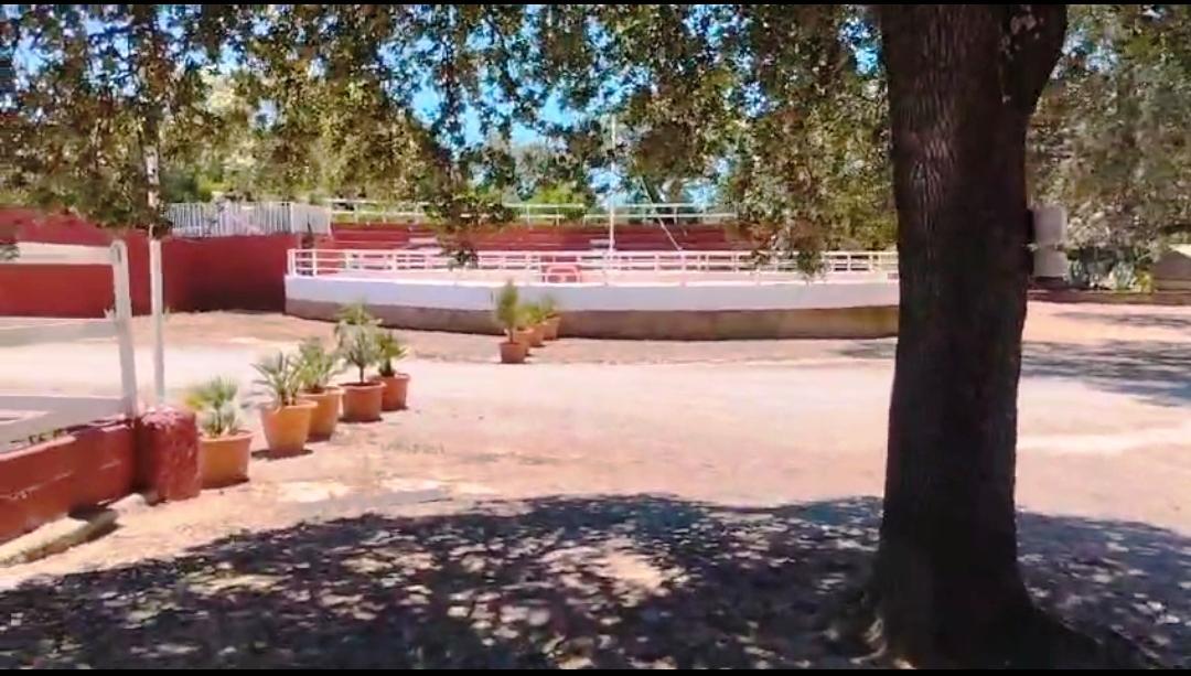 For sale of rural property in Montellano