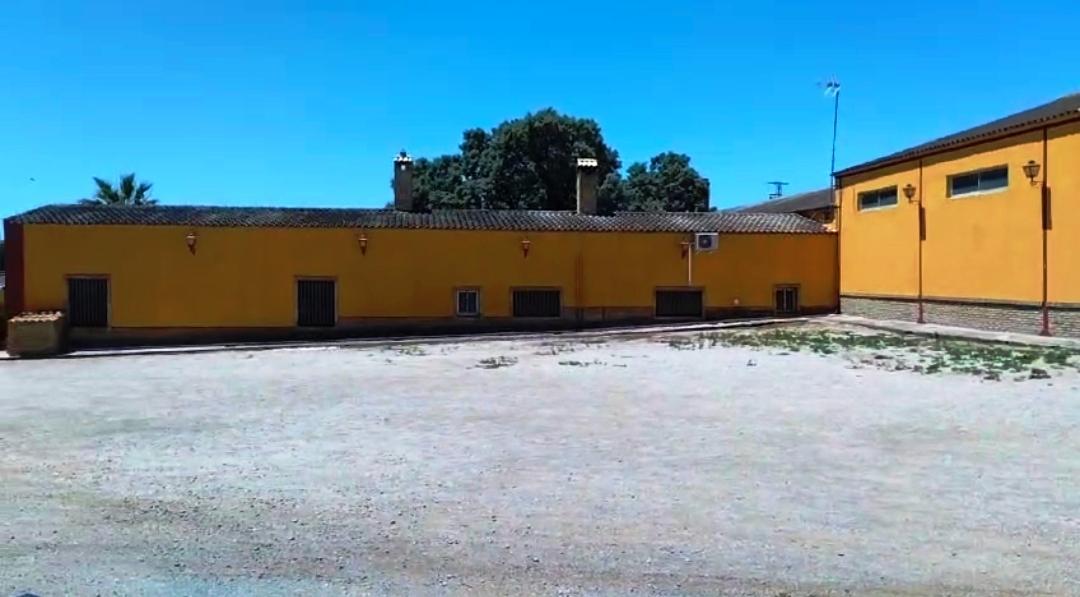 For sale of rural property in Montellano