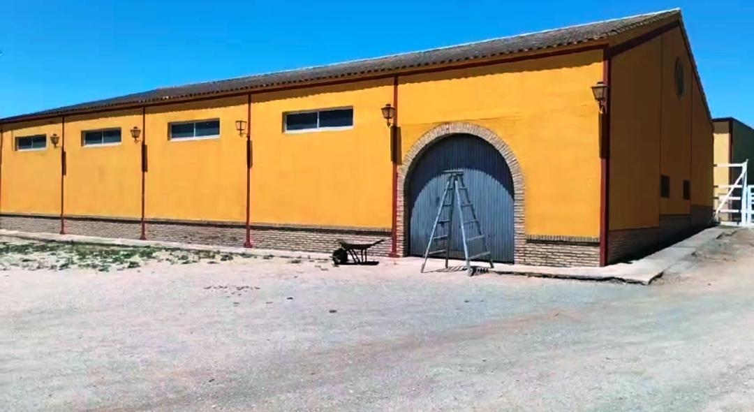 For sale of rural property in Montellano