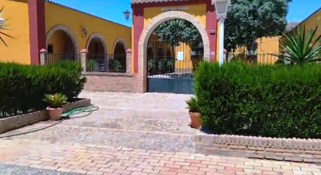 For sale of rural property in Montellano