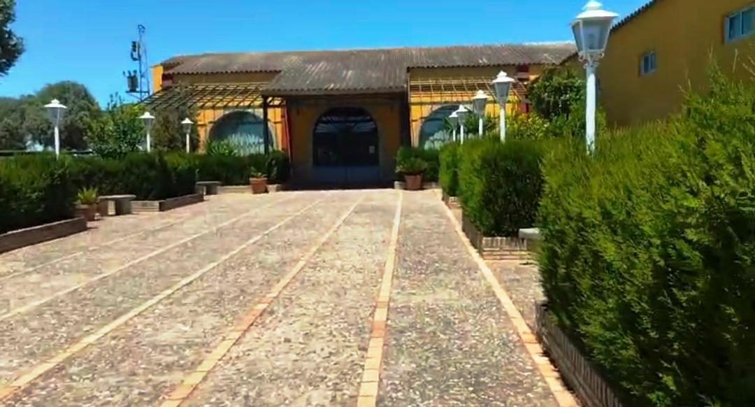 For sale of rural property in Montellano