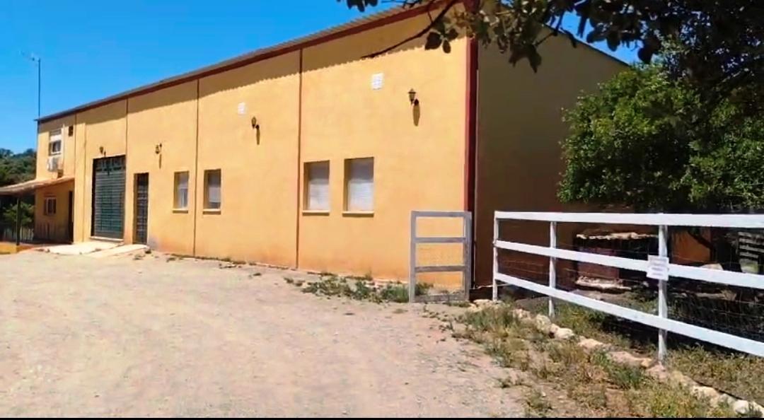 For sale of rural property in Montellano