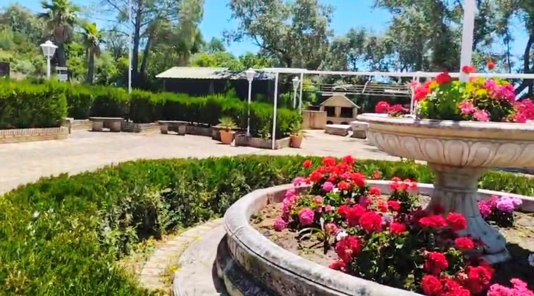 For sale of rural property in Montellano