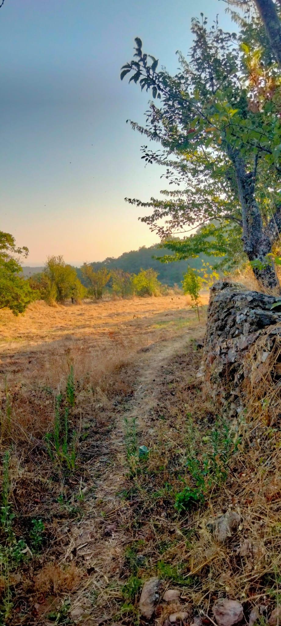 Venta de finca rústica en Cabeza la Vaca
