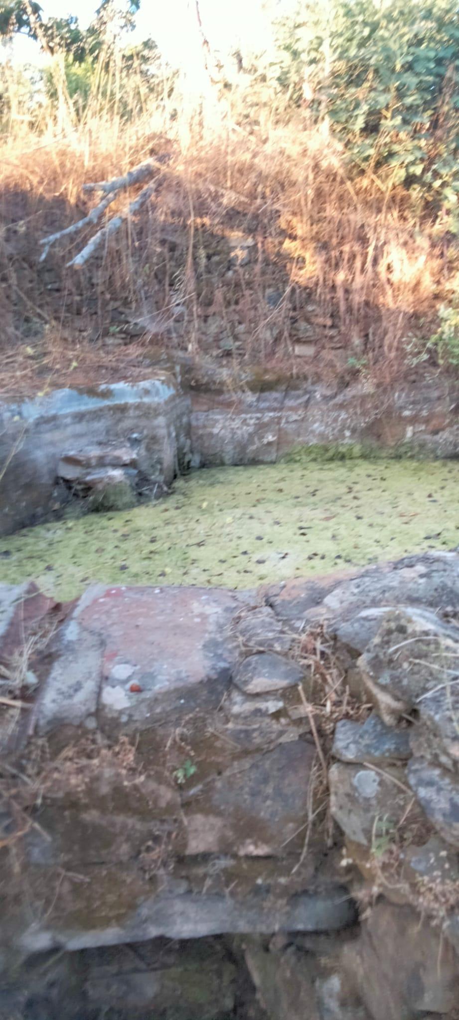 Venta de finca rústica en Cabeza la Vaca
