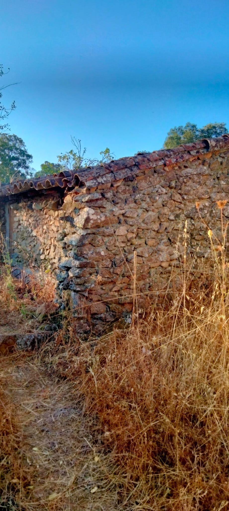 Venta de finca rústica en Cabeza la Vaca