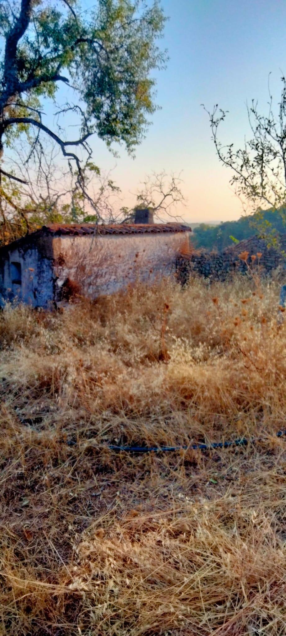 Venta de finca rústica en Cabeza la Vaca