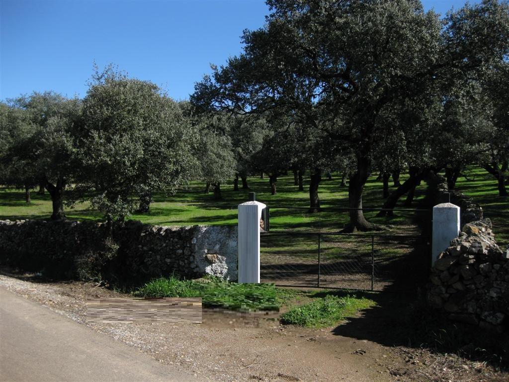 For sale of rural property in Fuentes de León