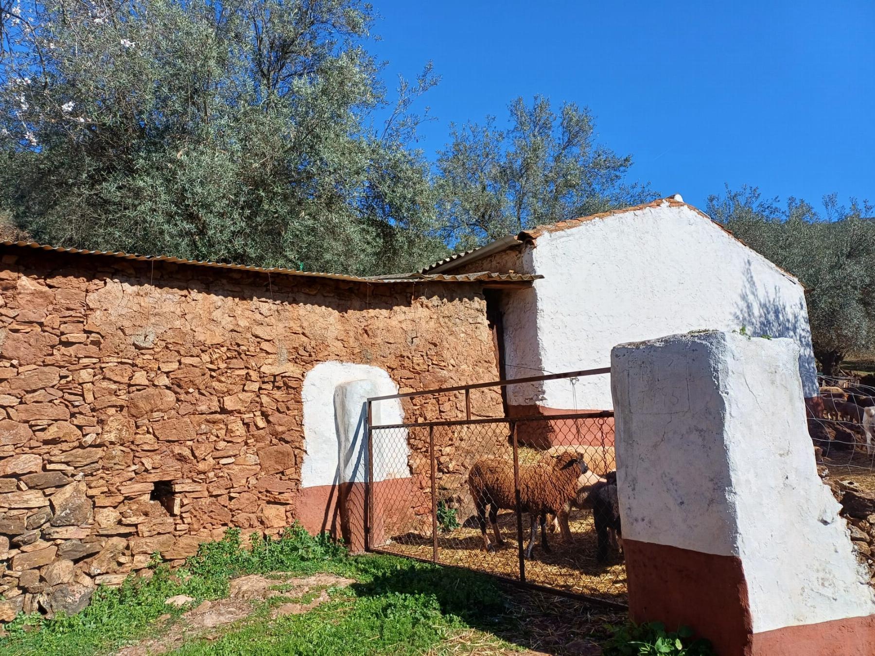 Venta de finca rústica en Fuentes de León