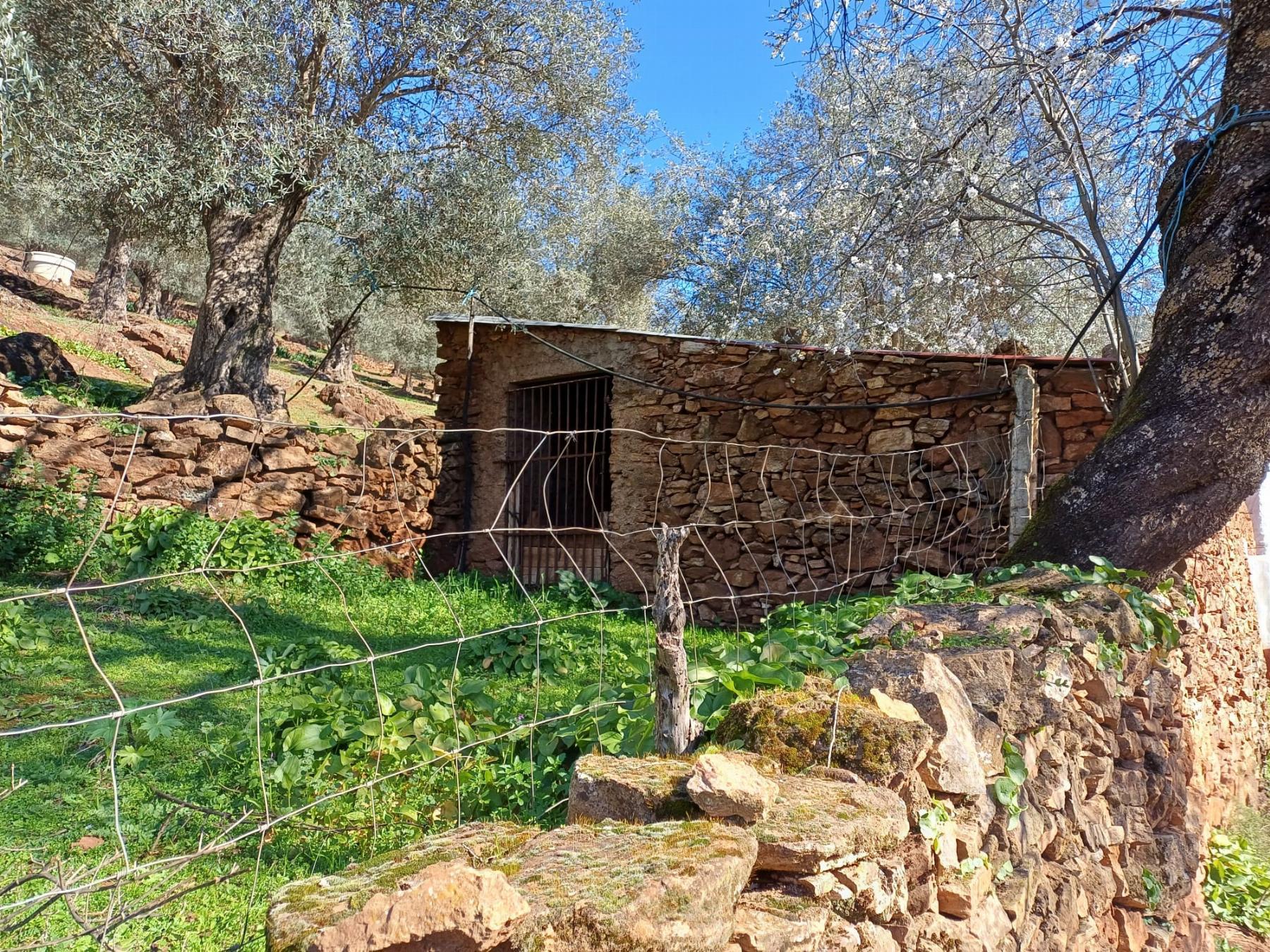 For sale of rural property in Fuentes de León