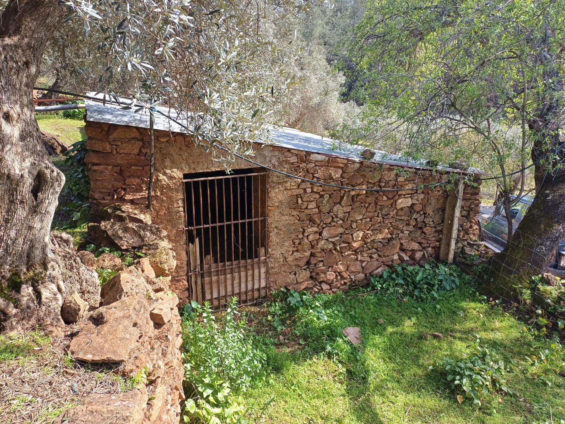 For sale of rural property in Fuentes de León