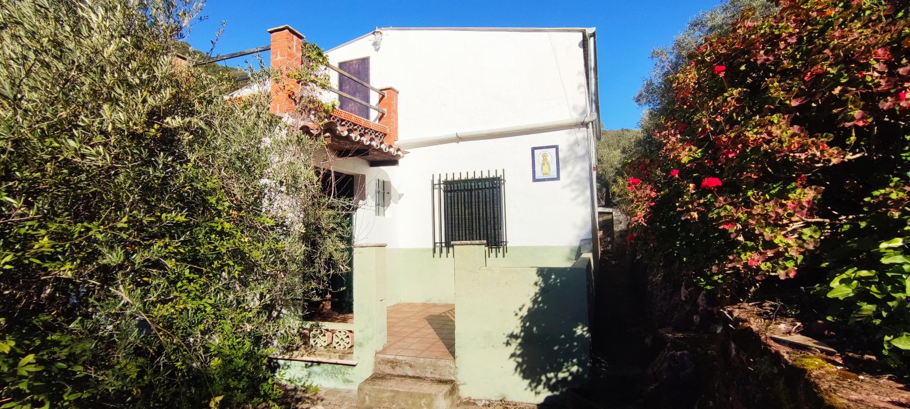Venta de finca rústica en Fuentes de León