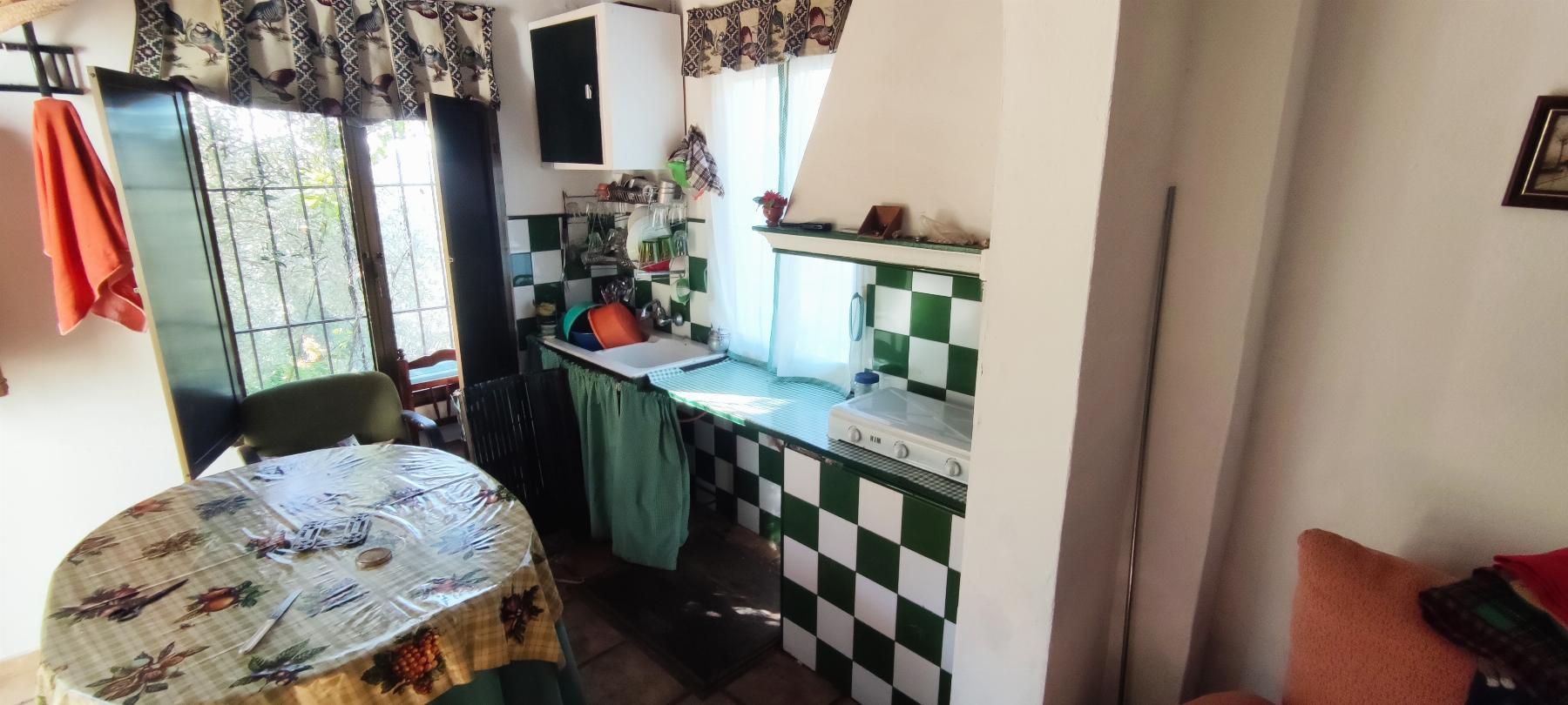 Venta de finca rústica en Fuentes de León