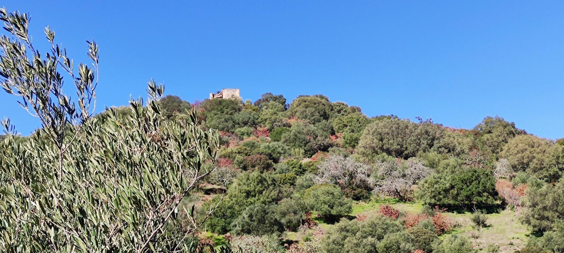Venta de finca rústica en Fuentes de León