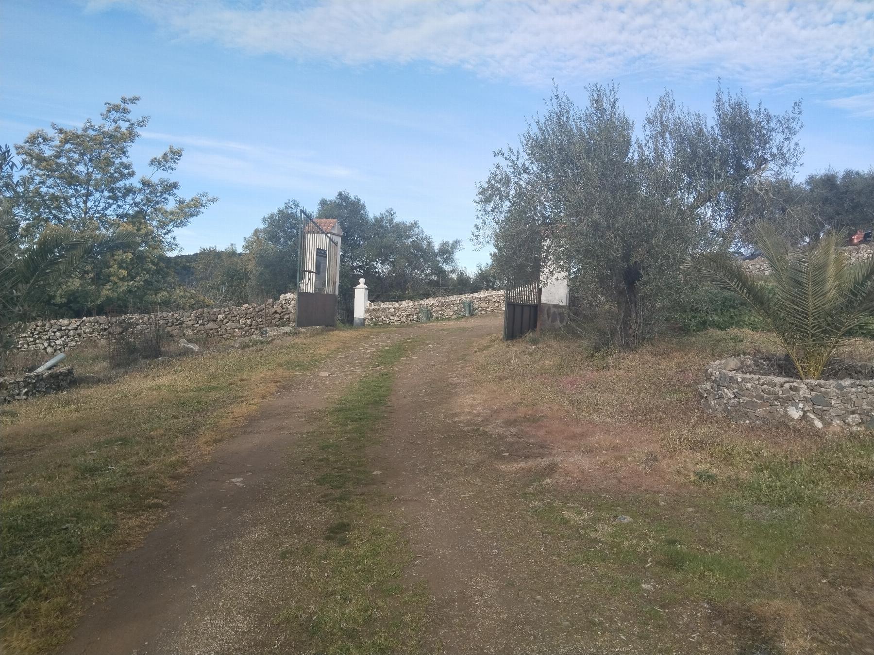 Venta de finca rústica en Fuentes de León