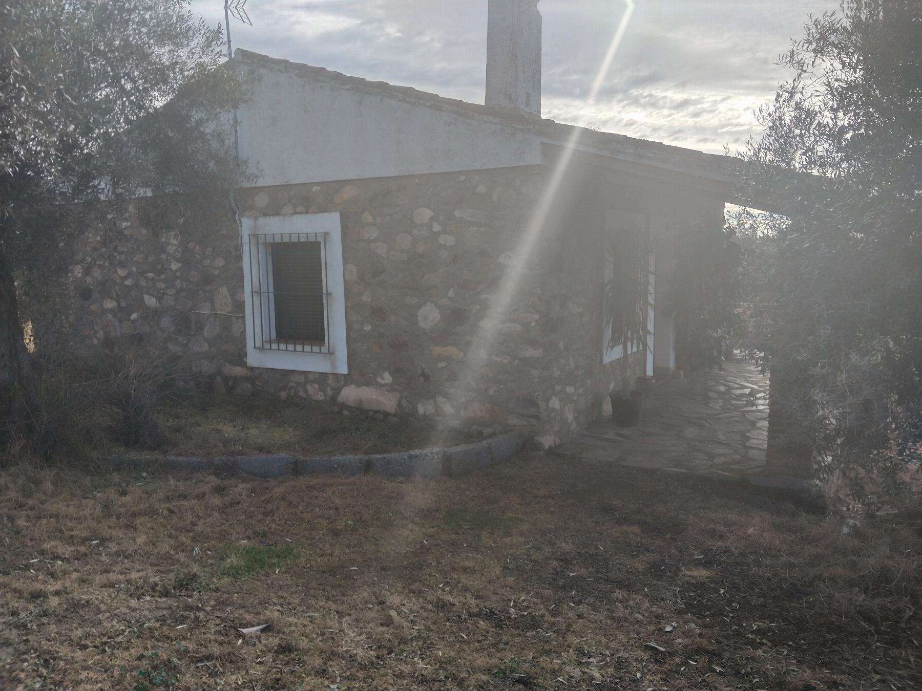 Venta de finca rústica en Fuentes de León