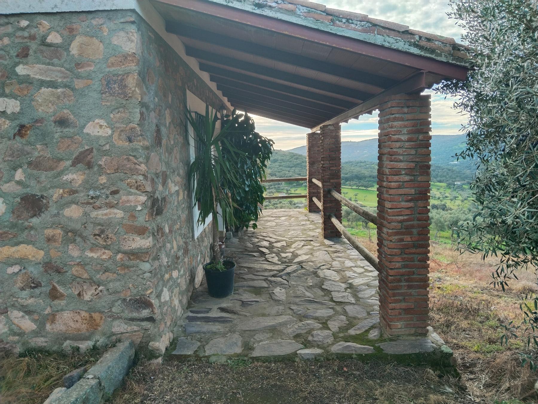 Venta de finca rústica en Fuentes de León