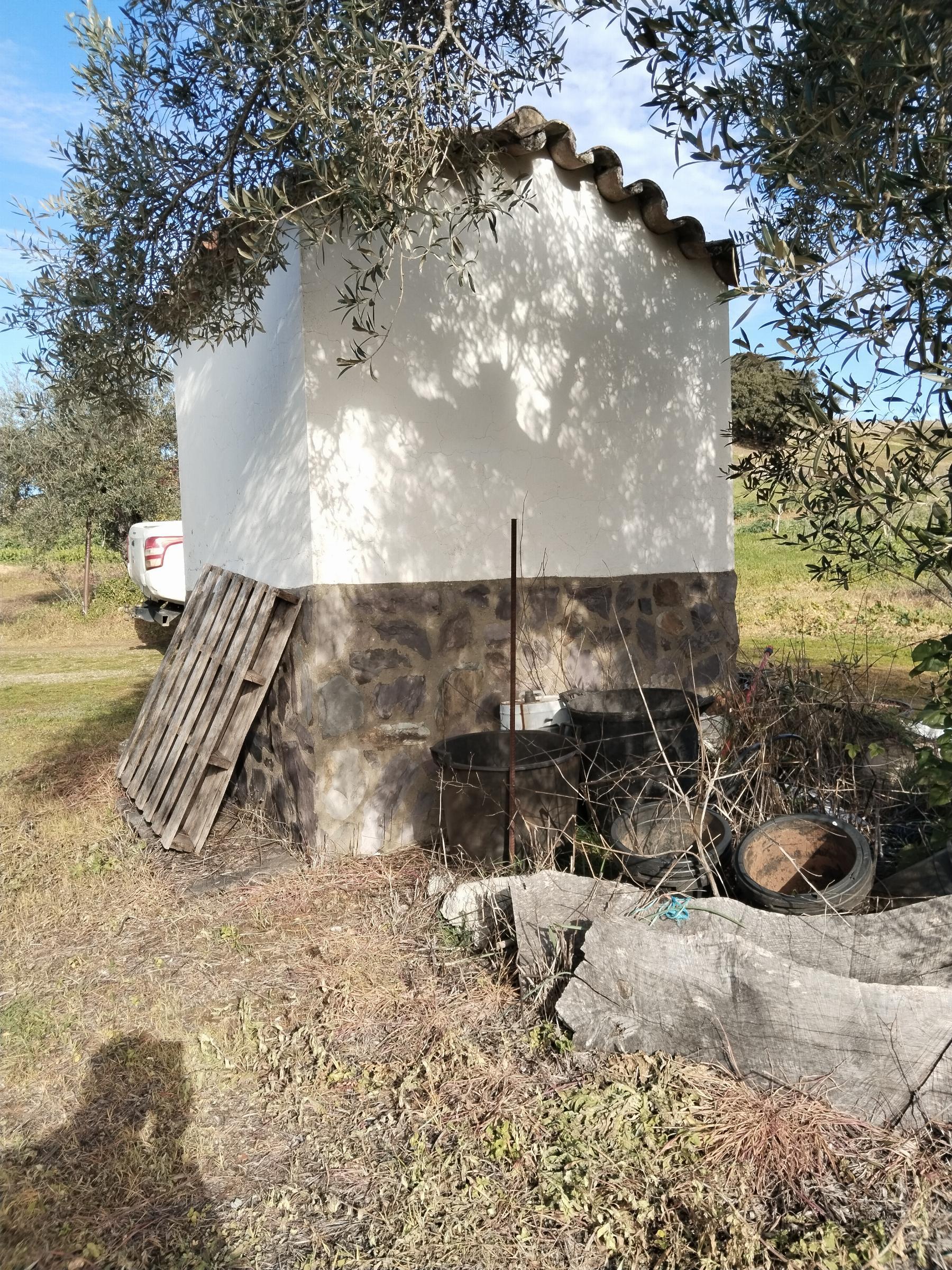Venta de finca rústica en Fuentes de León