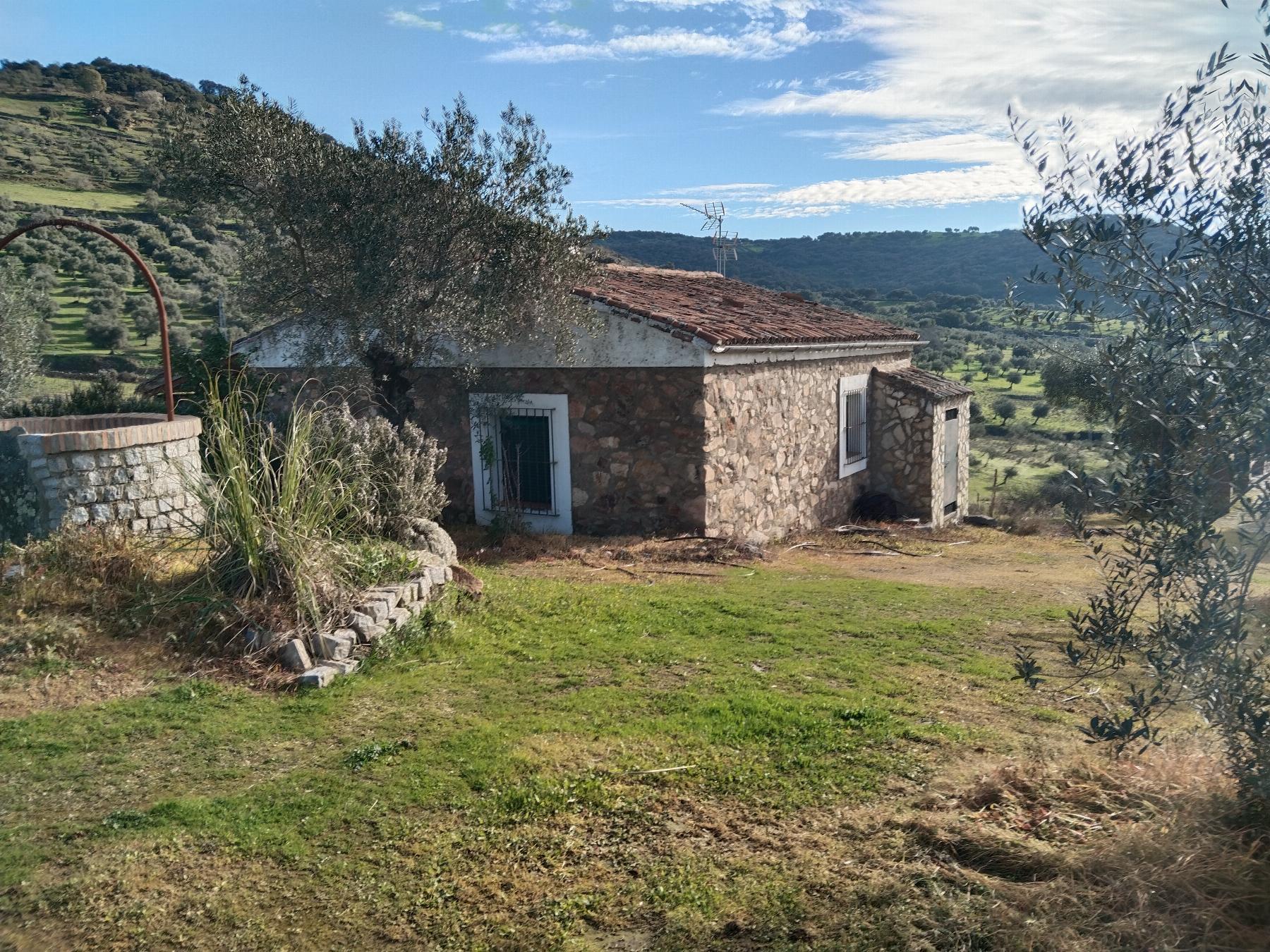 Venta de finca rústica en Fuentes de León