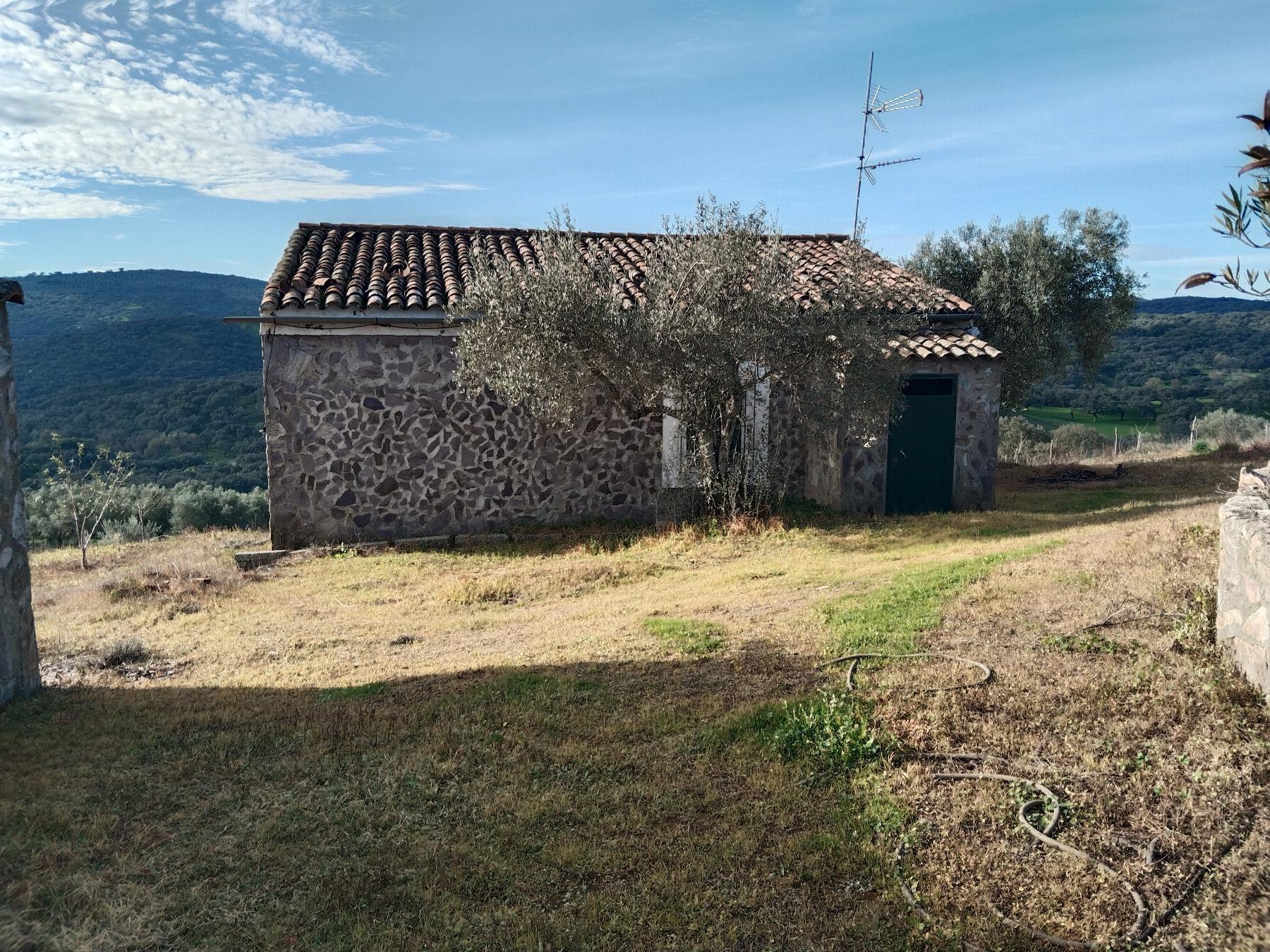 Venta de finca rústica en Fuentes de León