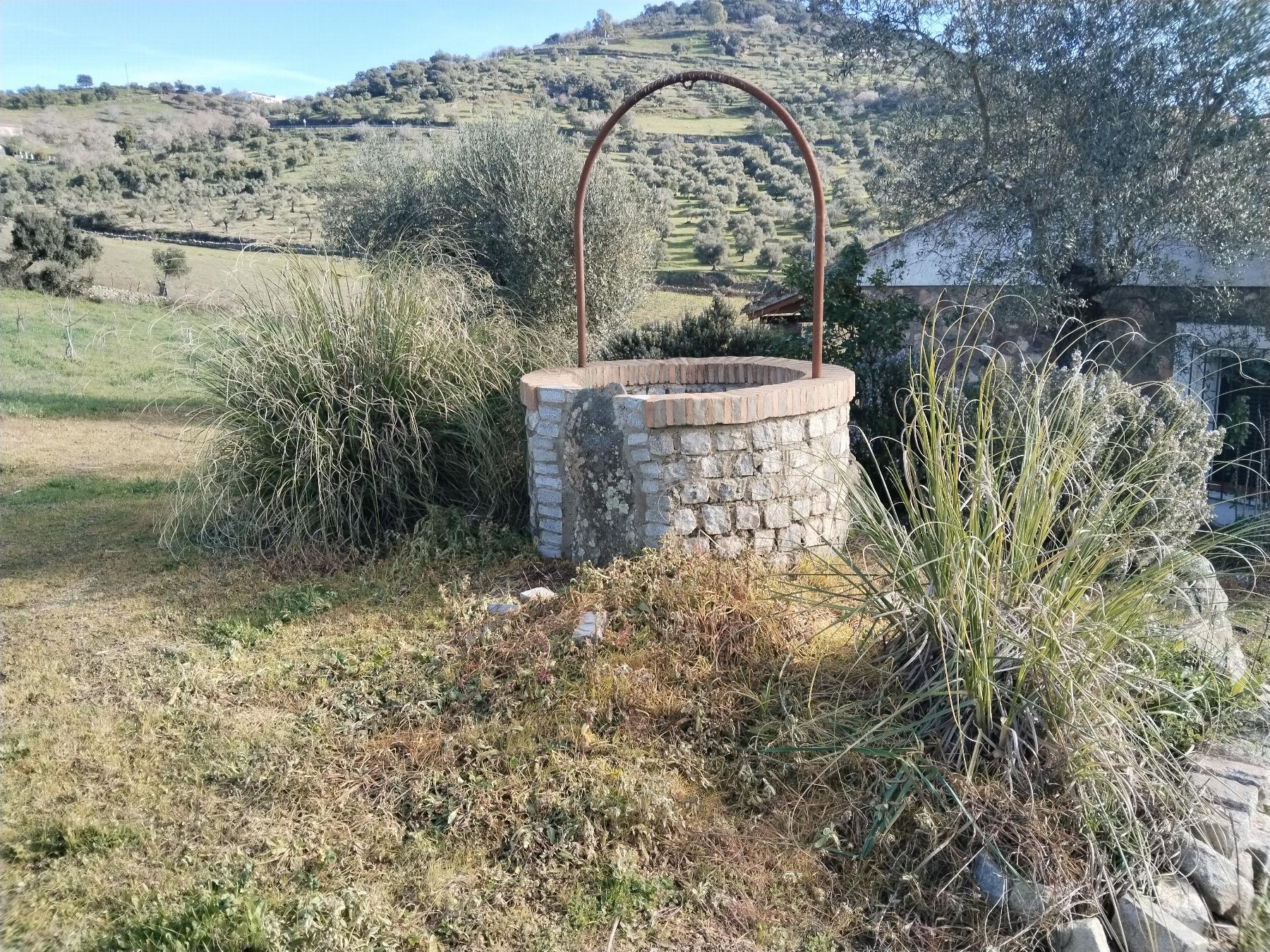 Venta de finca rústica en Fuentes de León