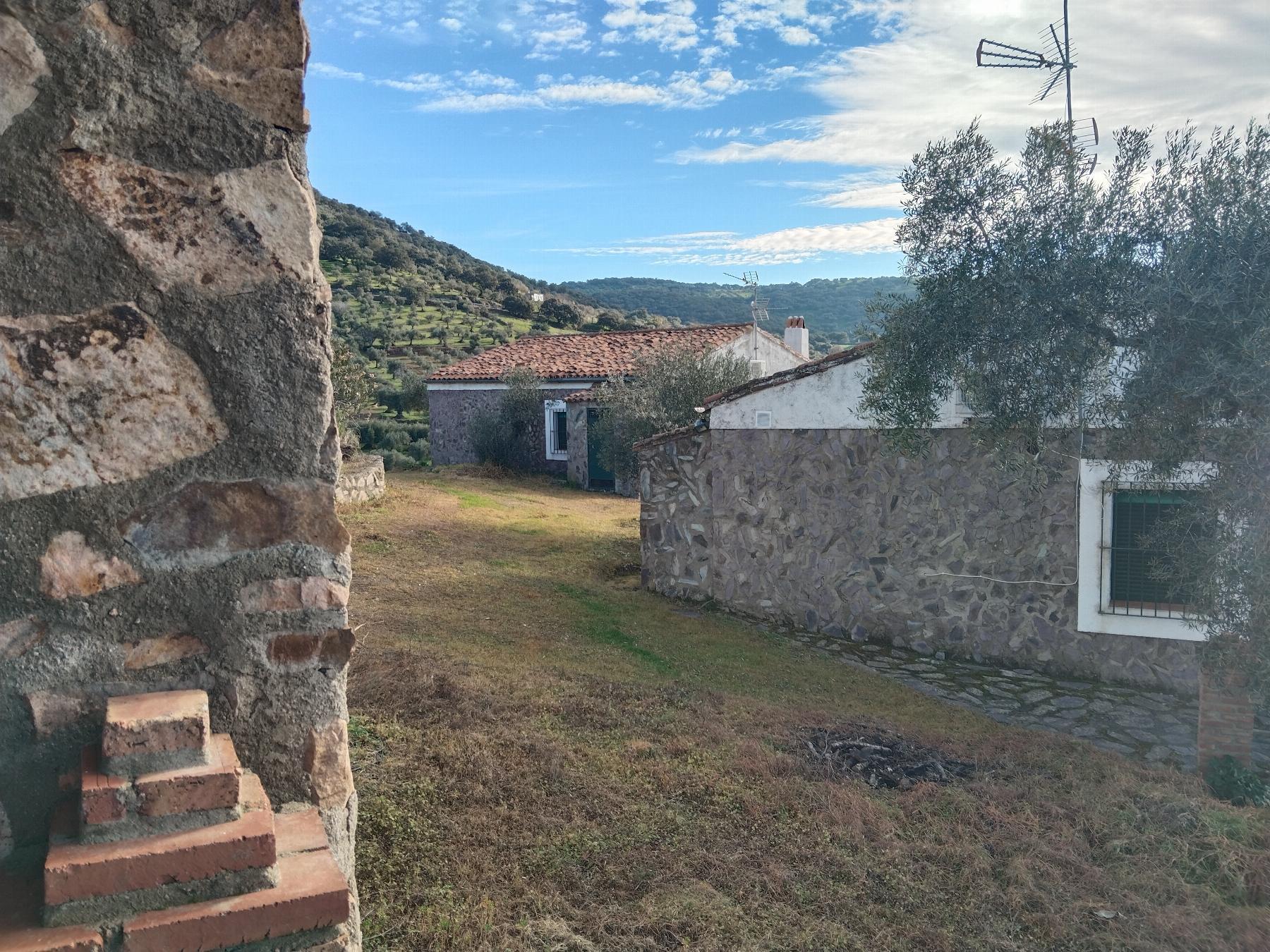 Venta de finca rústica en Fuentes de León