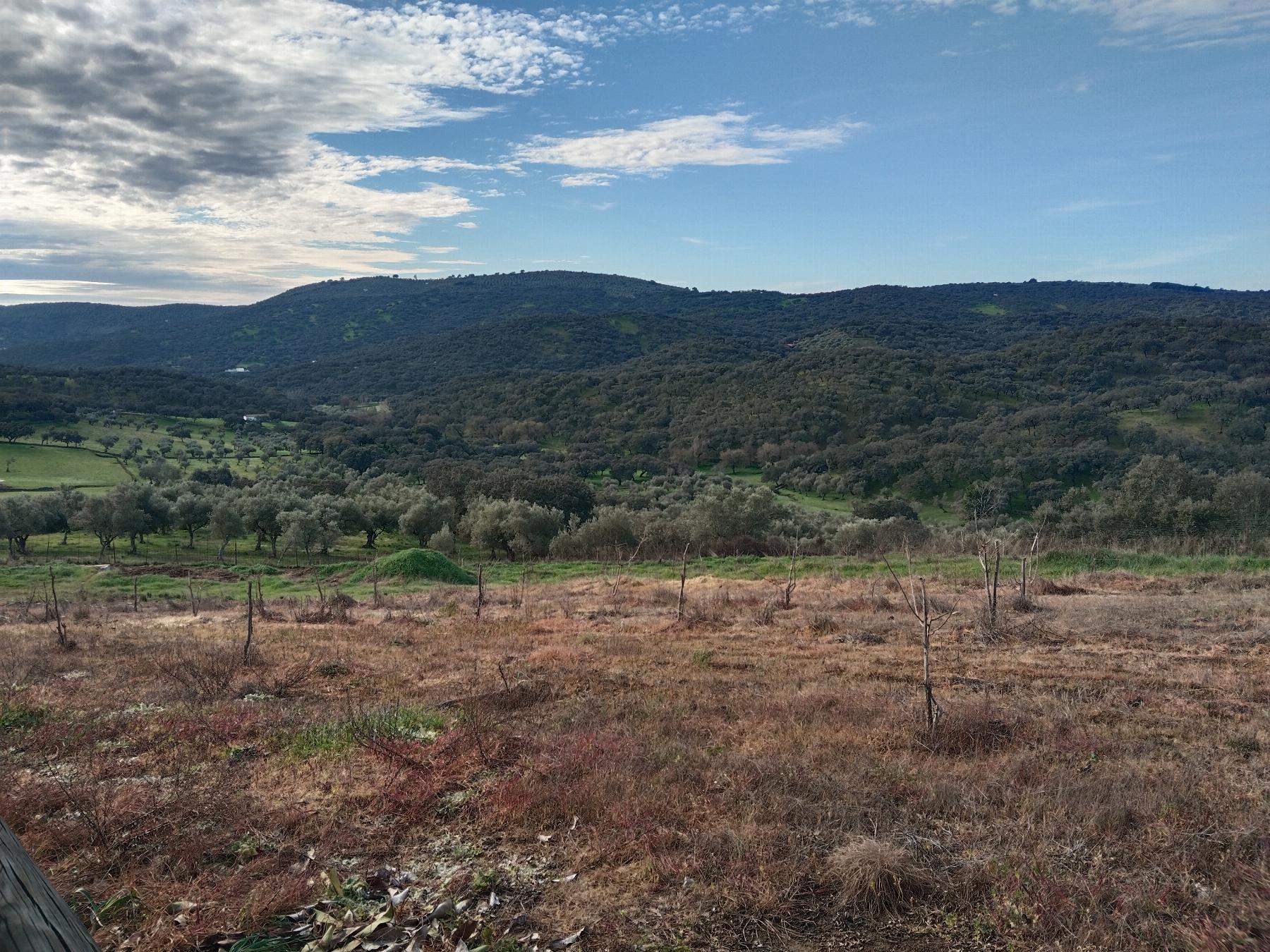 Venta de finca rústica en Fuentes de León