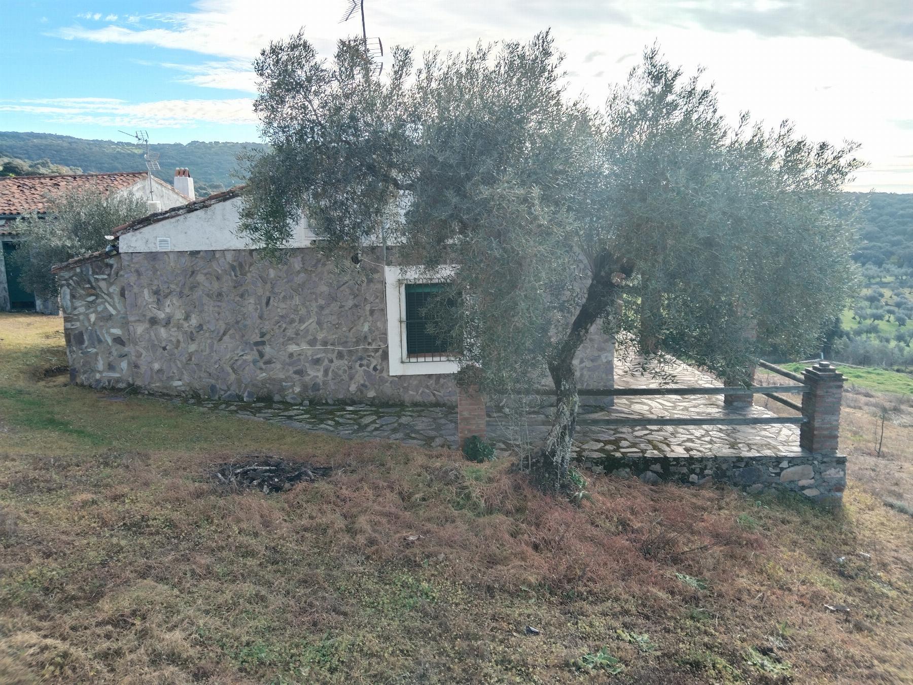 Venta de finca rústica en Fuentes de León