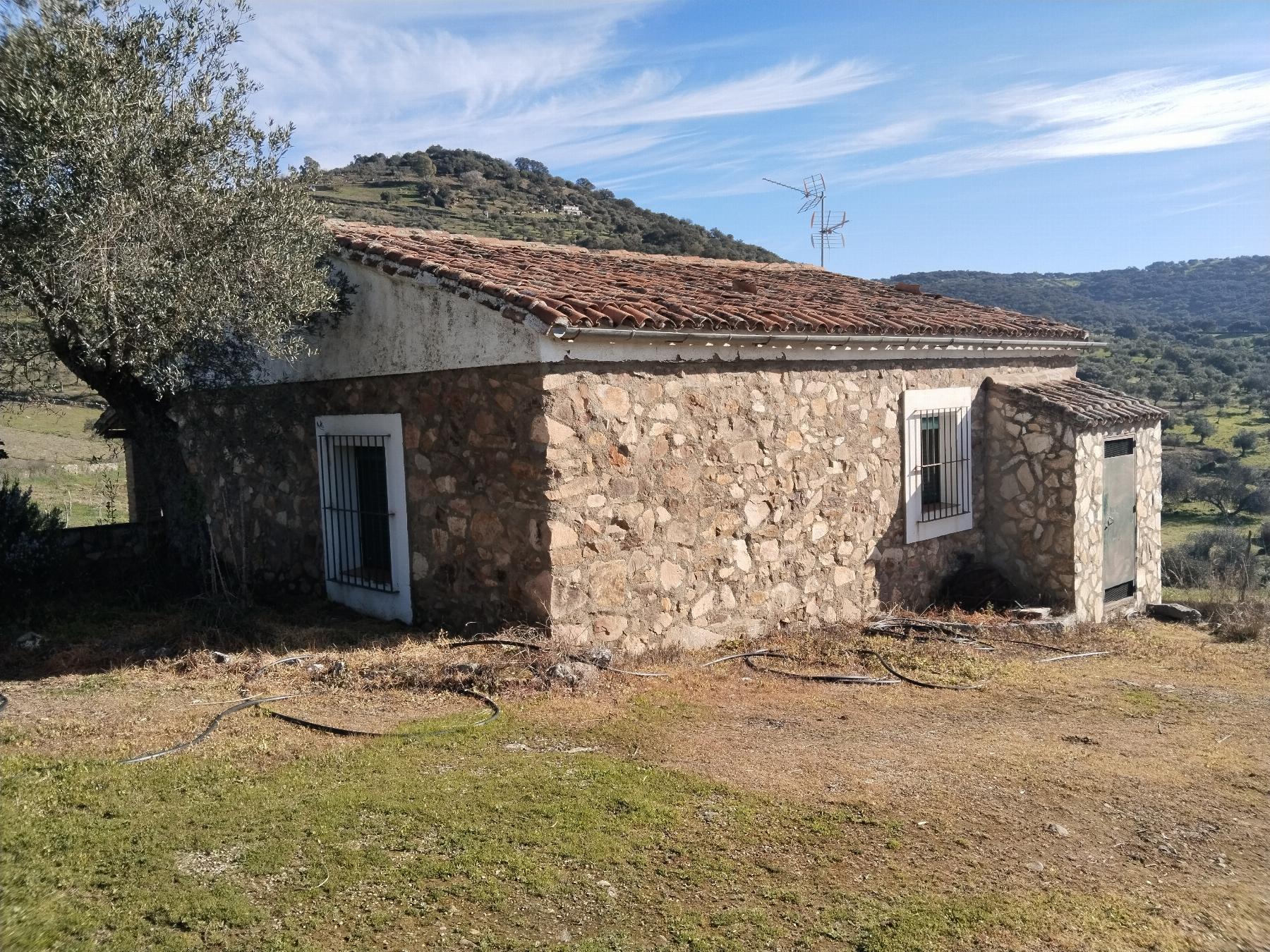 Venta de finca rústica en Fuentes de León
