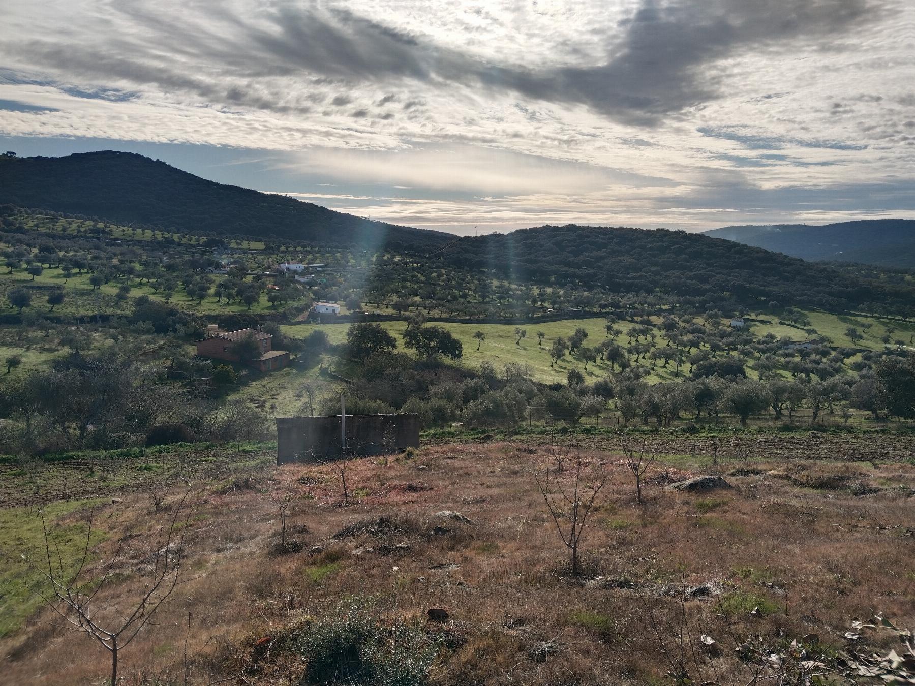 Venta de finca rústica en Fuentes de León