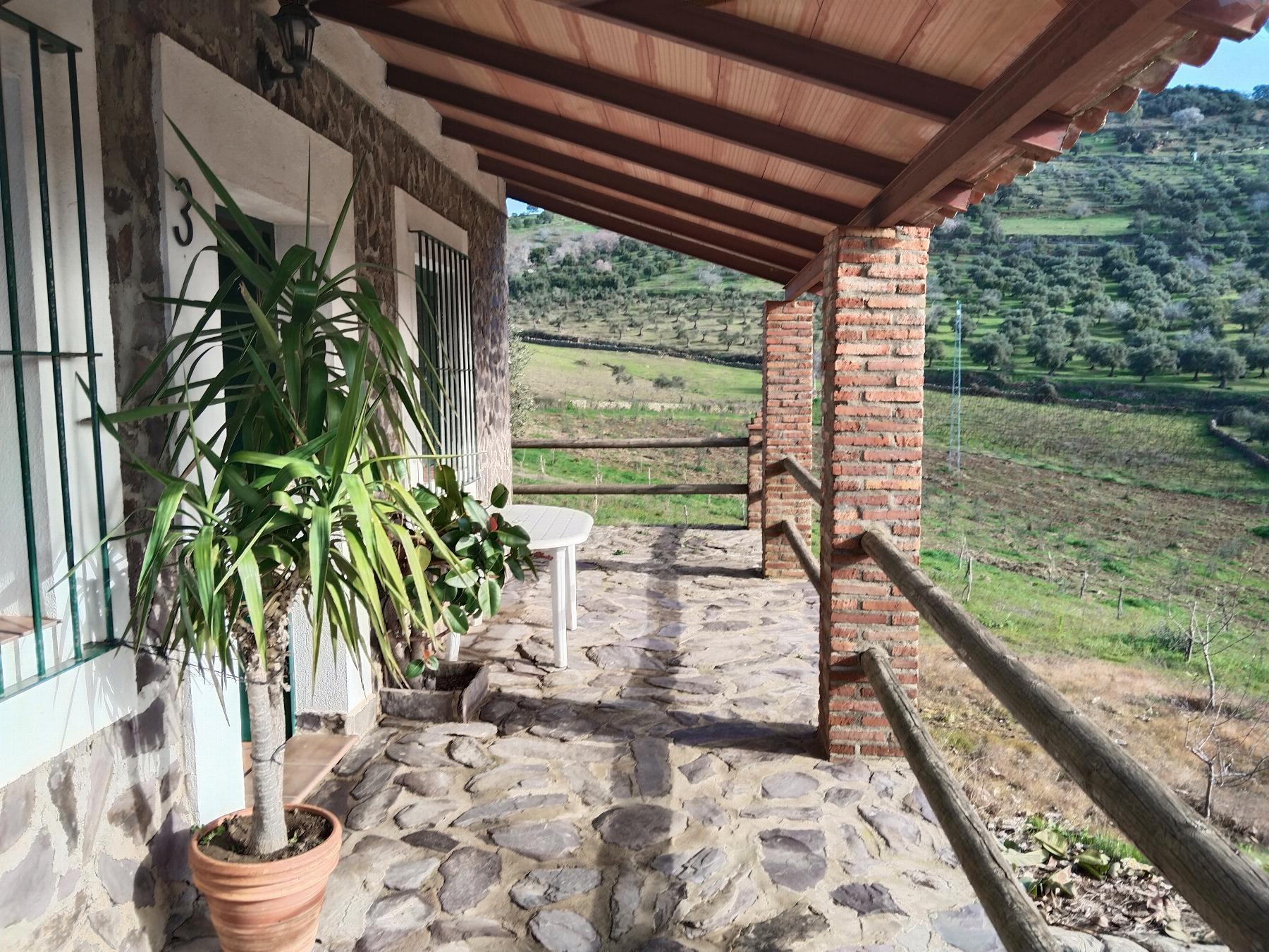 Venta de finca rústica en Fuentes de León