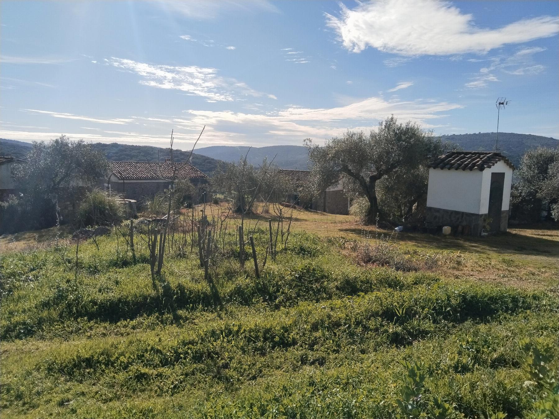 Venta de finca rústica en Fuentes de León
